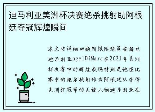 迪马利亚美洲杯决赛绝杀挑射助阿根廷夺冠辉煌瞬间
